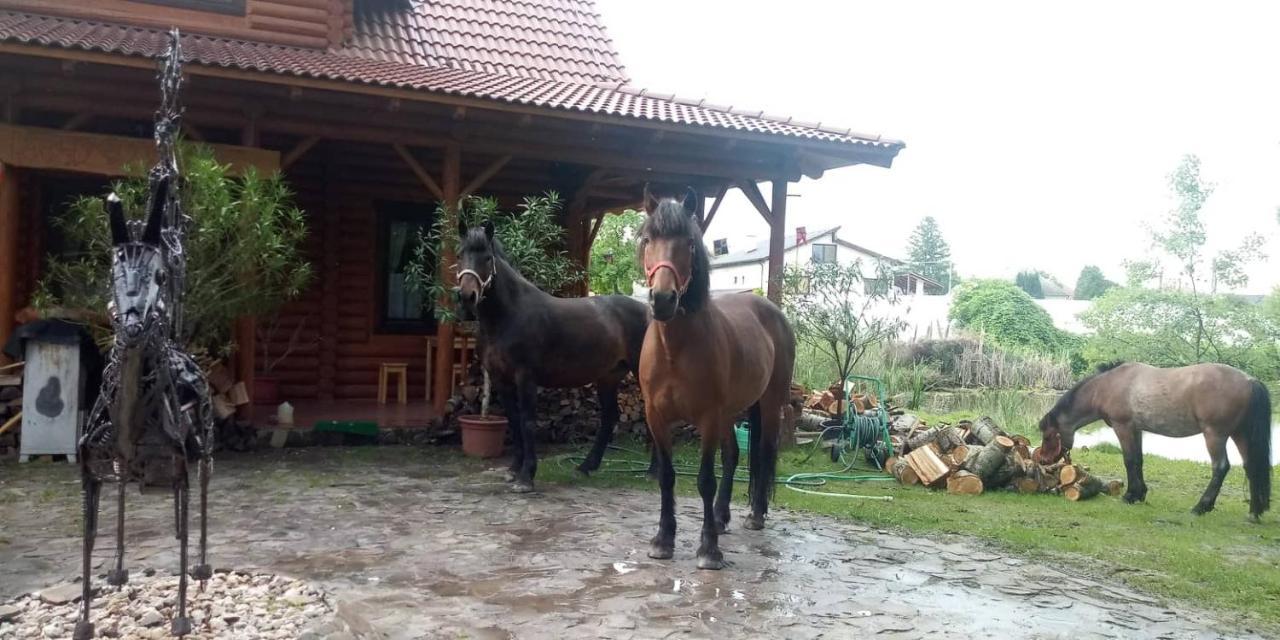 Dom Argyelus - Argyelus Haz - Fesztypark Hotell Martovce Exteriör bild